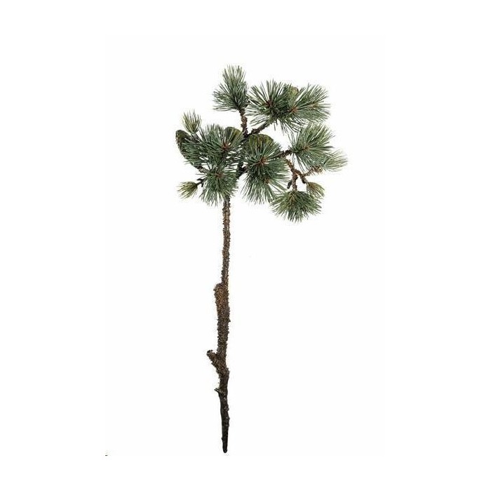 RAMO DI PINO MUGO VERDE CM.61